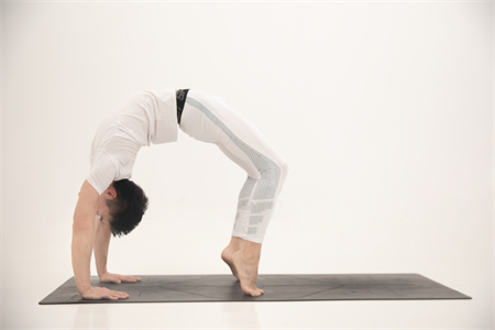 苏州瑜伽培训——瑜伽扭转体式